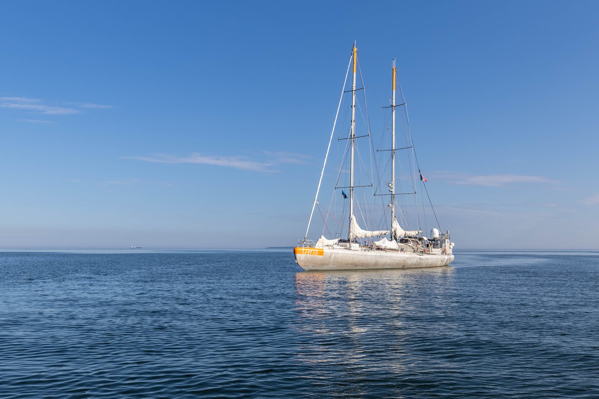 TARA schooner